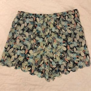 LC Lauren Conrad tropical shorts